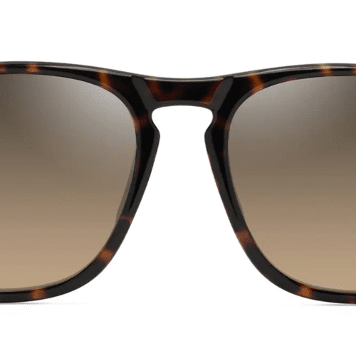 MauiJimKupa a641SunglassesShinyDarkHavanaTransYellowwithHCLBronzefront